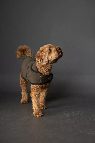 Merchant and Mills Barka Dog Coat Sewing Pattern