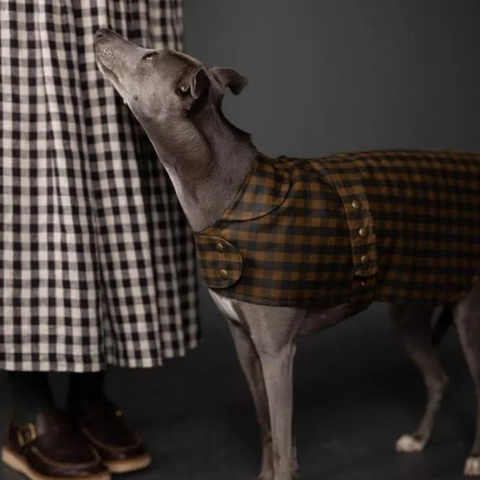 Merchant and Mills Barka Dog Coat Sewing Pattern