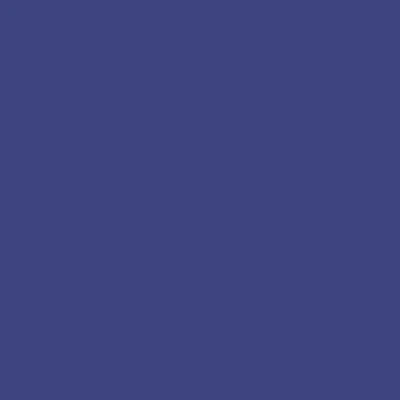 mind the MAKER Casey Bias Tape in NaVY